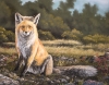 Golden Hour by Michelle Mitchell